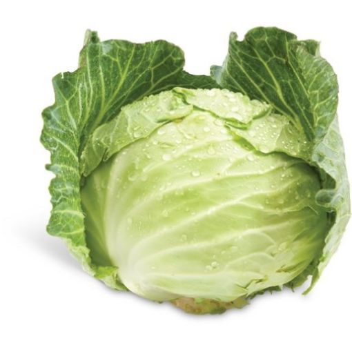 Imagem de Couve Lombarda