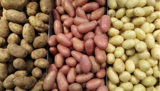 Imagem de Batata