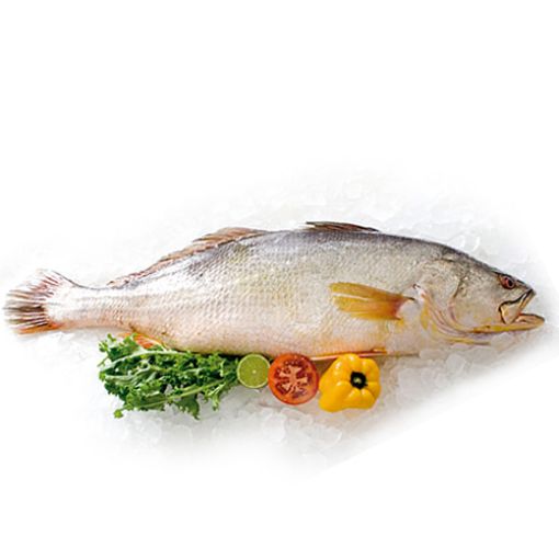 Imagem de PESCADA INTEIRA NACIONAL CONGELADA
