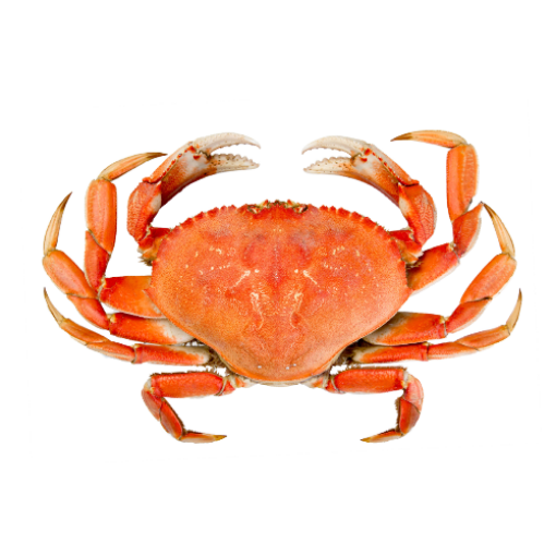 Imagem de CARANGUEJO MACHO 