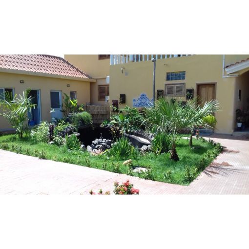 Imagem de Jardin no Quintal